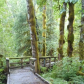 Wildwood Recreation Site