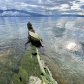 Idaho Panhandle National Forests