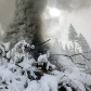 Idaho Panhandle National Forests