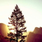 Yosemite National Park 