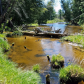 Huron-Manistee National Forest