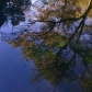 Ozark National Scenic Riverways