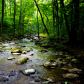 Shenandoah National Park