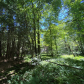Allegheny National Forest