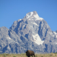 Grand Teton National Park