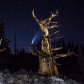 Great Basin National Park