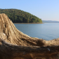 Allegheny National Forest