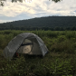 Allegheny National Forest