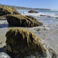 Los Padres National Forest