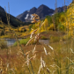 White River National Forest