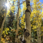 White River National Forest