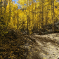 White River National Forest