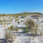 Assateague Island National Seashore