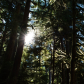 Olympic National Park