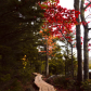 Acadia National Park