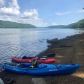 Allegheny National Forest
