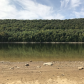 Allegheny National Forest