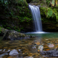 El Yunque National Forest