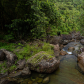 El Yunque National Forest