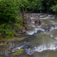 El Yunque National Forest