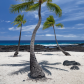 Puʻuhonua o Hōnaunau National Historic Park