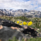 Custer Gallatin National Forest