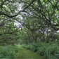 Midewin National Tallgrass Prairie