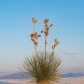White Sands National Park
