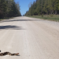 Hiawatha National Forest