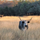 Lyndon B. Johnson National Historical Park