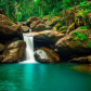 El Yunque National Forest