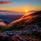 El Yunque National Forest