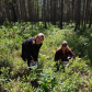 Mio Ranger District, Huron-Manistee National Forests