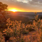 Bears Ears National Monument