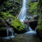Kootenai National Forest