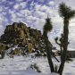 Joshua Tree National Park 