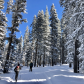 Grand Mesa County Line