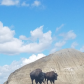 Theodore Roosevelt National Park