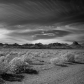 Big Bend National Park