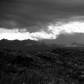 Saguaro National Park