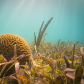 Dry Tortugas National Park 