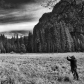 Yosemite National Park 