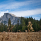 Yosemite National Park 