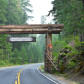 Mount Rainer National Park