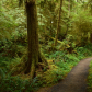 Olympic National Park