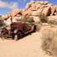 Joshua Tree National Park