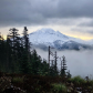 Mt Hood National Forest