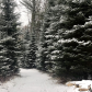 Huron - Manistee National Forests