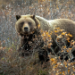  Denali National Park & Preserve