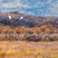  Denali National Park & Preserve